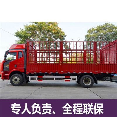 東莞到福州貨運公司