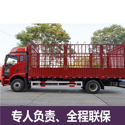 廣州到金昌金川區物流公司