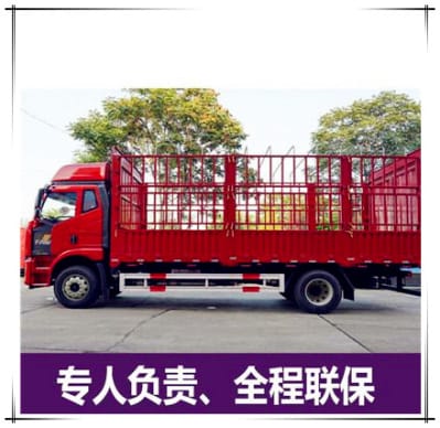 河源到桂林恭城縣物流公司