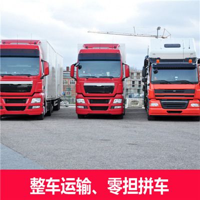 肇慶到南平松溪縣運輸企業