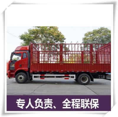 江門到溫州貨運公司